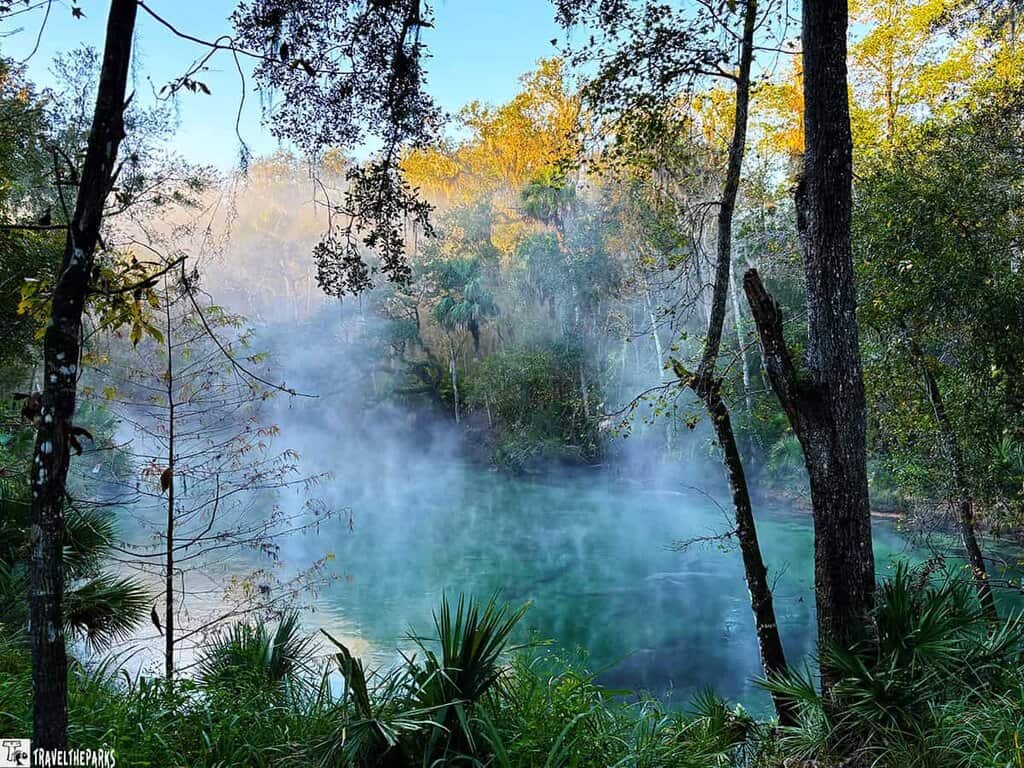 Misty morning at Blue Springs State Park with turquoise water surrounded by trees and dense greenery.
