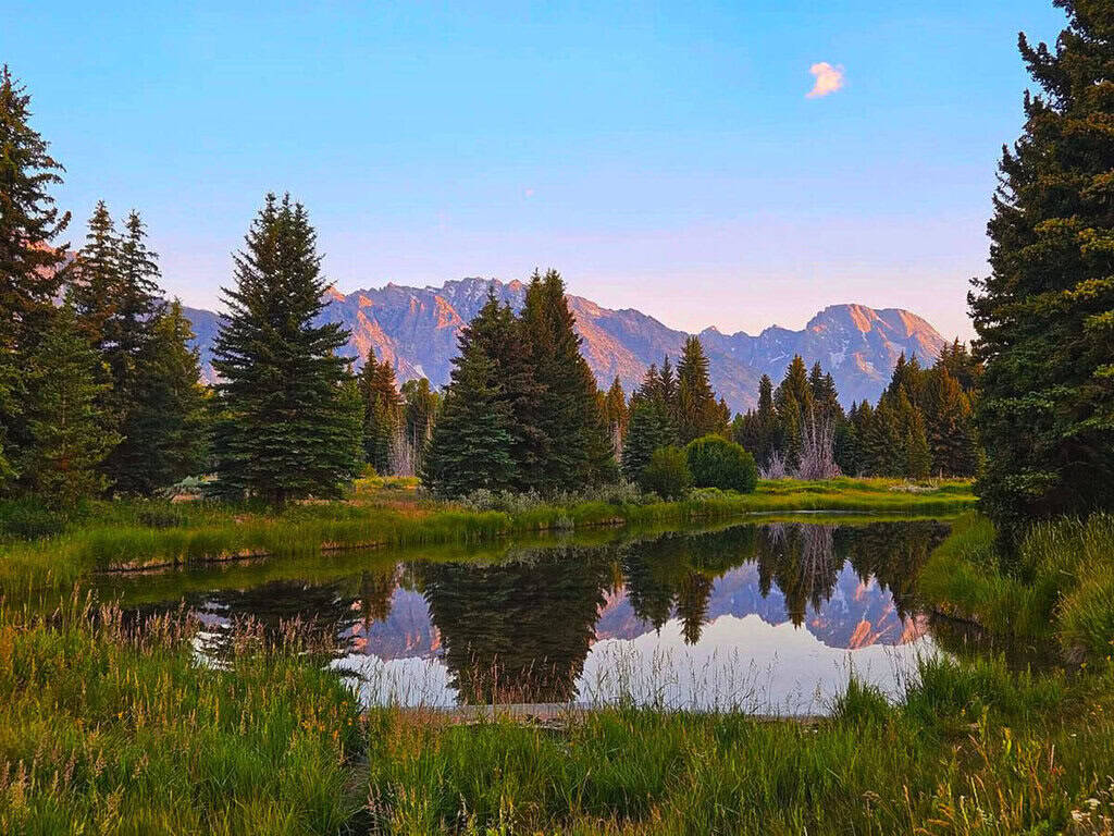A reflective body of water with surrounding trees and distant mountains under a blue sky in Jackson Wyoming