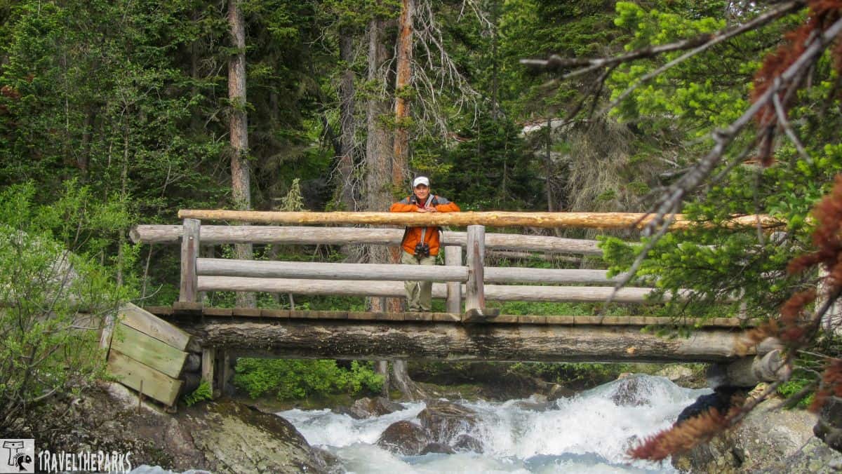 Cascade Canyon Creek Bridge-A person stands on a rustic wooden bridge over a flowing stream in a forest.