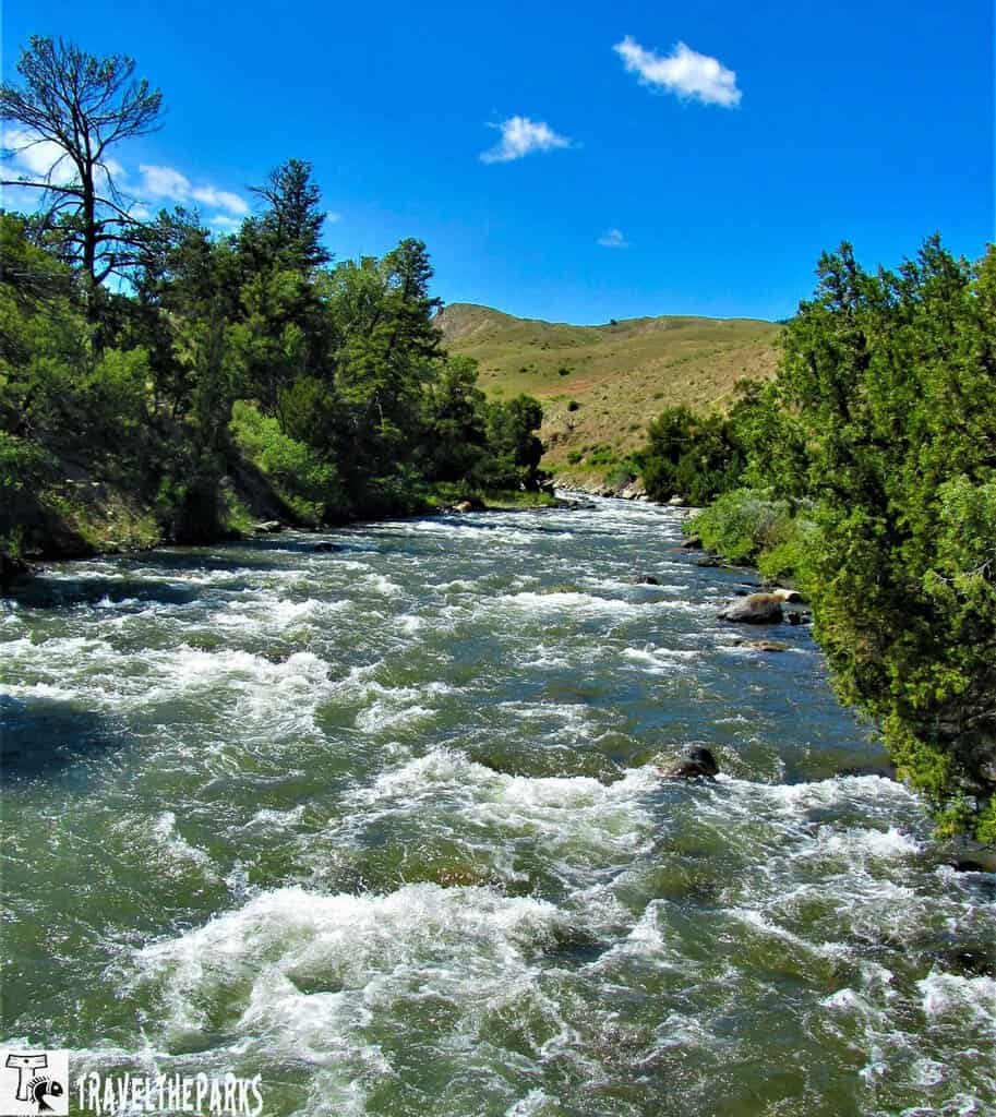 Gardiner River: Rapidly flowing river with white water surrounded by lush green trees under a clear blue sky. Hills in the distance add to the serene landscape.