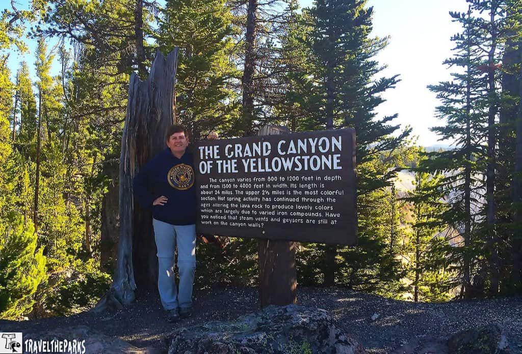 A person stands beside a sign about the Grand Canyon of the Yellowstone, surrounded by sunlit pine trees. The scene feels serene and nature-focused.