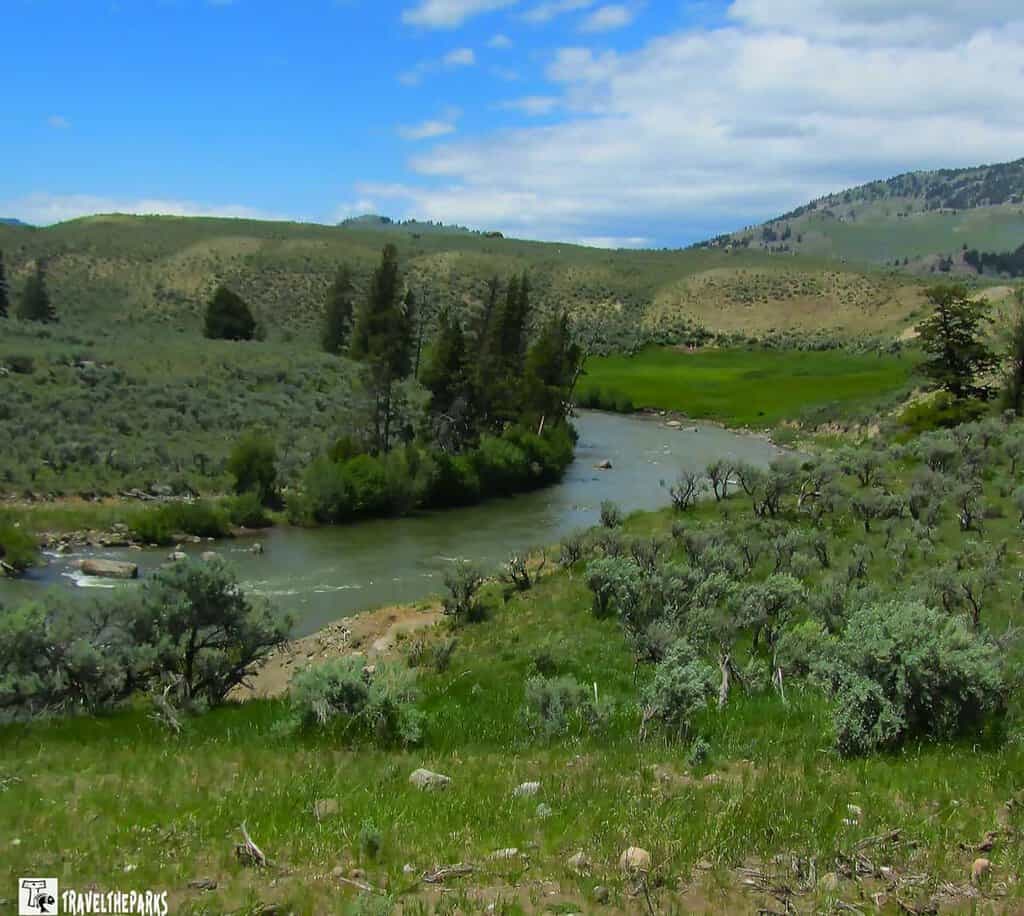 A view of the Lamar River Valley with a winding river, green fields, scattered sagebrush, and evergreen trees under a blue sky.

