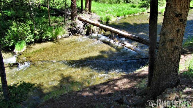 Lava Creek Picnic Area, YNP