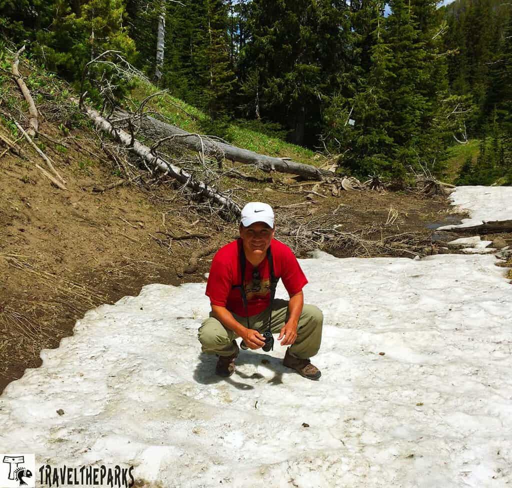 A person in a red shirt and white cap squats on a snowy patch in a forested area, surrounded by evergreen trees and fallen logs at Dunraven Pass, Mount Washburn Yellowstone National Park.


