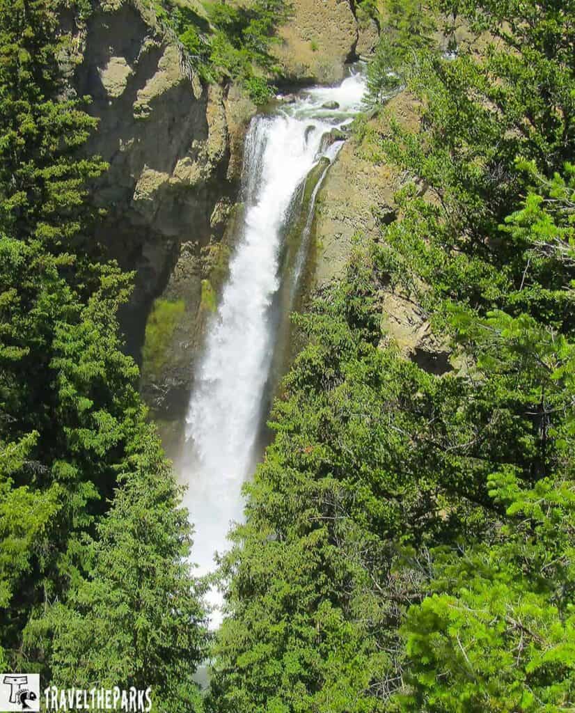 A waterfall flows down a rocky cliff, surrounded by evergreen trees.

