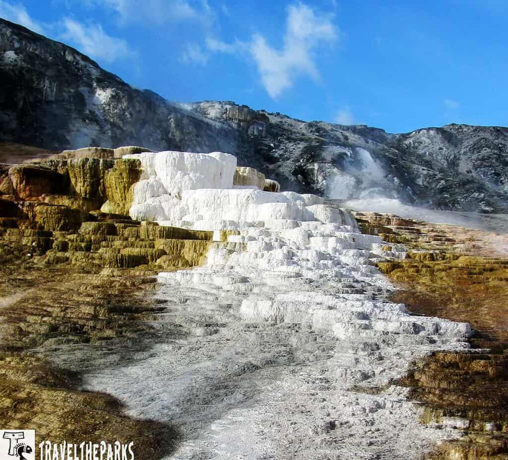 Terraced white and yellow mineral formations at Mammoth Hot Springs with steam and blue sky.

