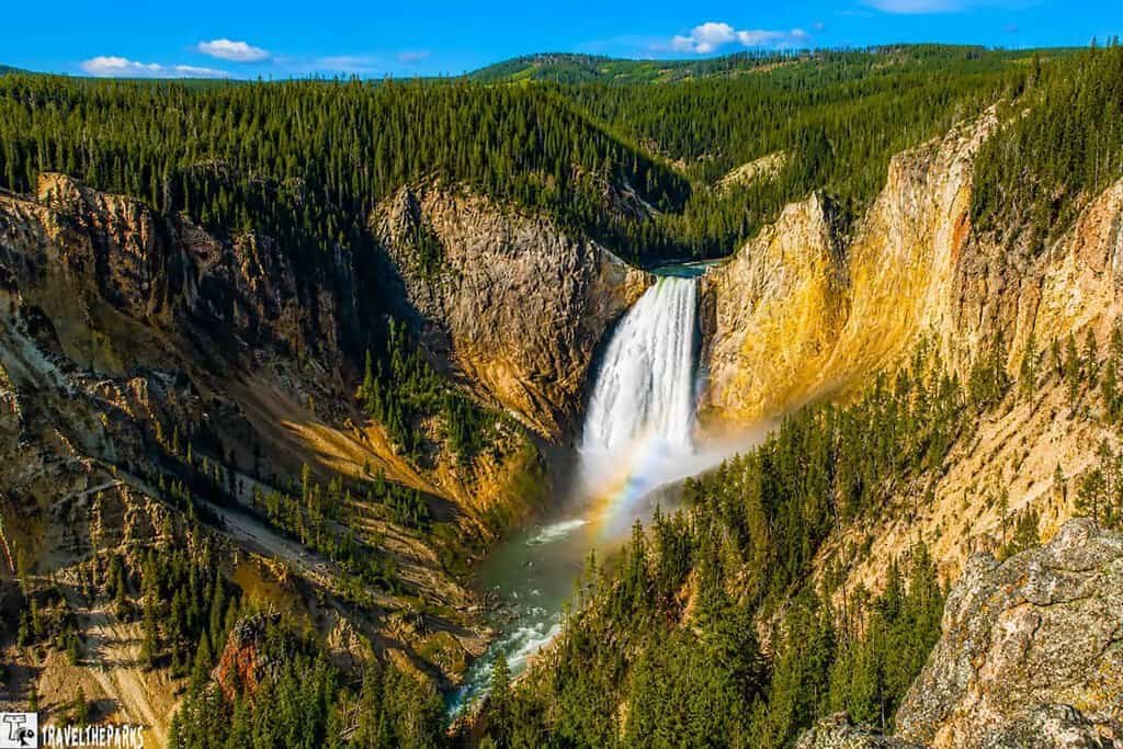 Lower Waterfall in a forested Yellowstone canyon under a blue sky.