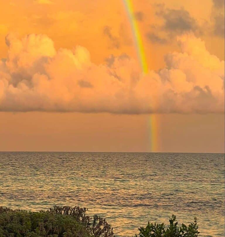 Unexpected Treasures in the Florida Keys Travel The Parks