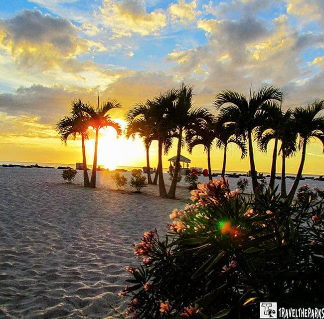 Floirda Keys each scene with sunset, palm trees, and flowering bush