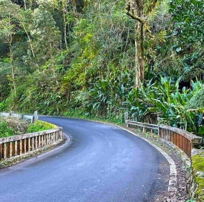 a winding road flanked by lush greenery, typical of a scenic drive. The road to Hana is smooth and curves gently to the right, bordered by metal and wooden guardrails.