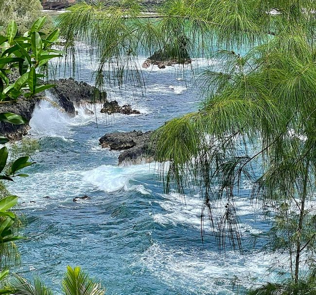 View of ocean waves crashing against volcanic rocks, framed by green foliage at Wai'anapanapa-State-Park
