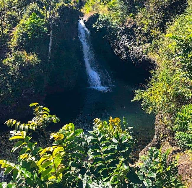 Makapipi Falls cascading into a pool surrounded by lush greenery.