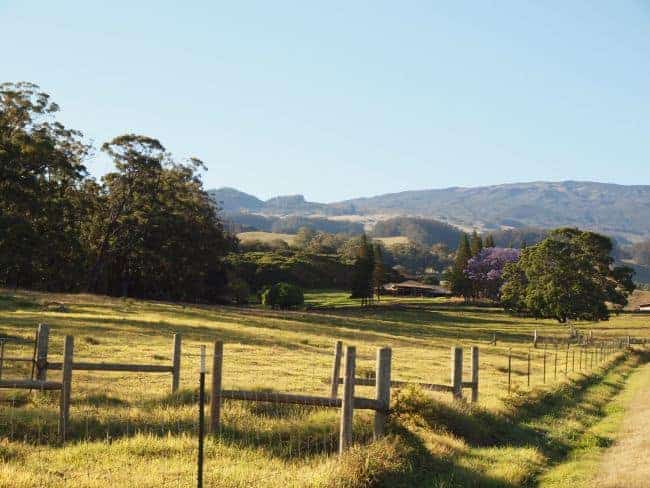 A sunlit rural landscape featuring a grassy field, a wooden fence, green hills, and trees with purple flowers in the background.