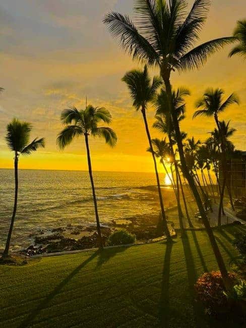 Tropical sunset with palm trees and ocean in Mai the Valley Isle Hawaii.