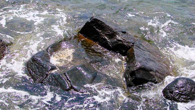Hauola Stone jagged rocks surrounded by swirling seawater.