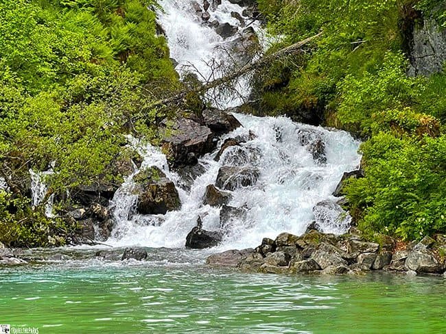 Fisher Falls: A waterfall cascading through a lush forest, surrounded by green foliage