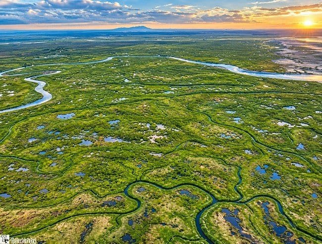 Cook Inlet braided streams: Aerial view of a winding river through a green landscape at sunset.