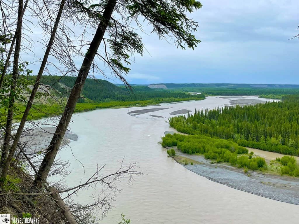 Copper River Views Wrangell St Elias Visitor center: A river meandering through a lush, forested landscape under an overcast sky.