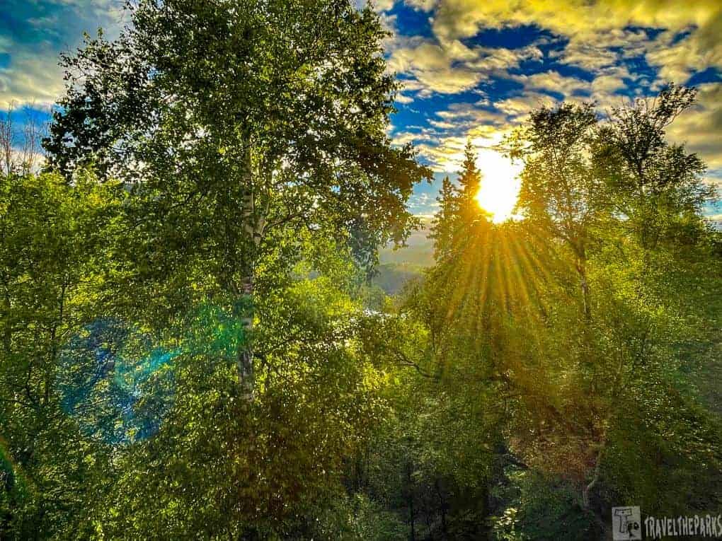 Palmer Alaska Road Trip: Alaska-Sutton Lakefront Cabin View: Sunlight filters through lush green trees with sun rays creating a warm glow. A serene forest scene under a partly cloudy sky at sunrise or sunset.