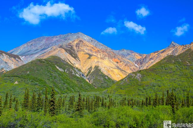 Sheep Mountain with colorful slopes under a clear blue sky, framed by green forest.