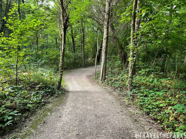 A gravel path winding through a dense green forest in Point Pelee National Park.