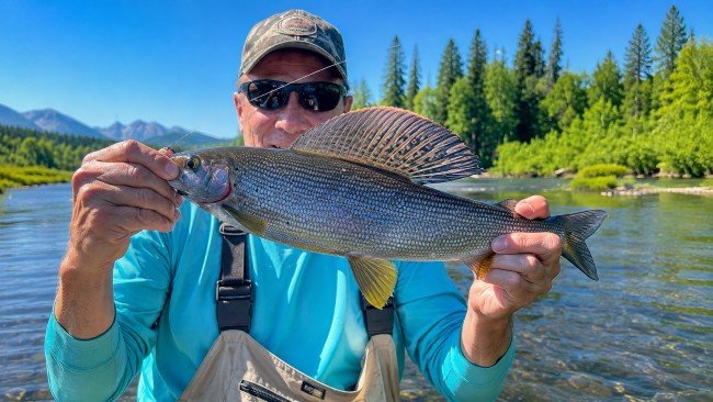 Arctic Grayling on the Chena River: A person holding a caught fish while enjoying a day outdoors.