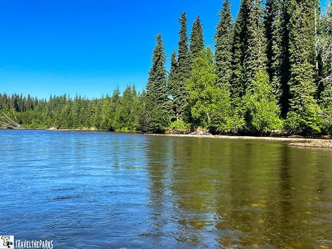 Chena River State Park: A clear river bordered by lush greenery and tall coniferous trees under a blue sky.