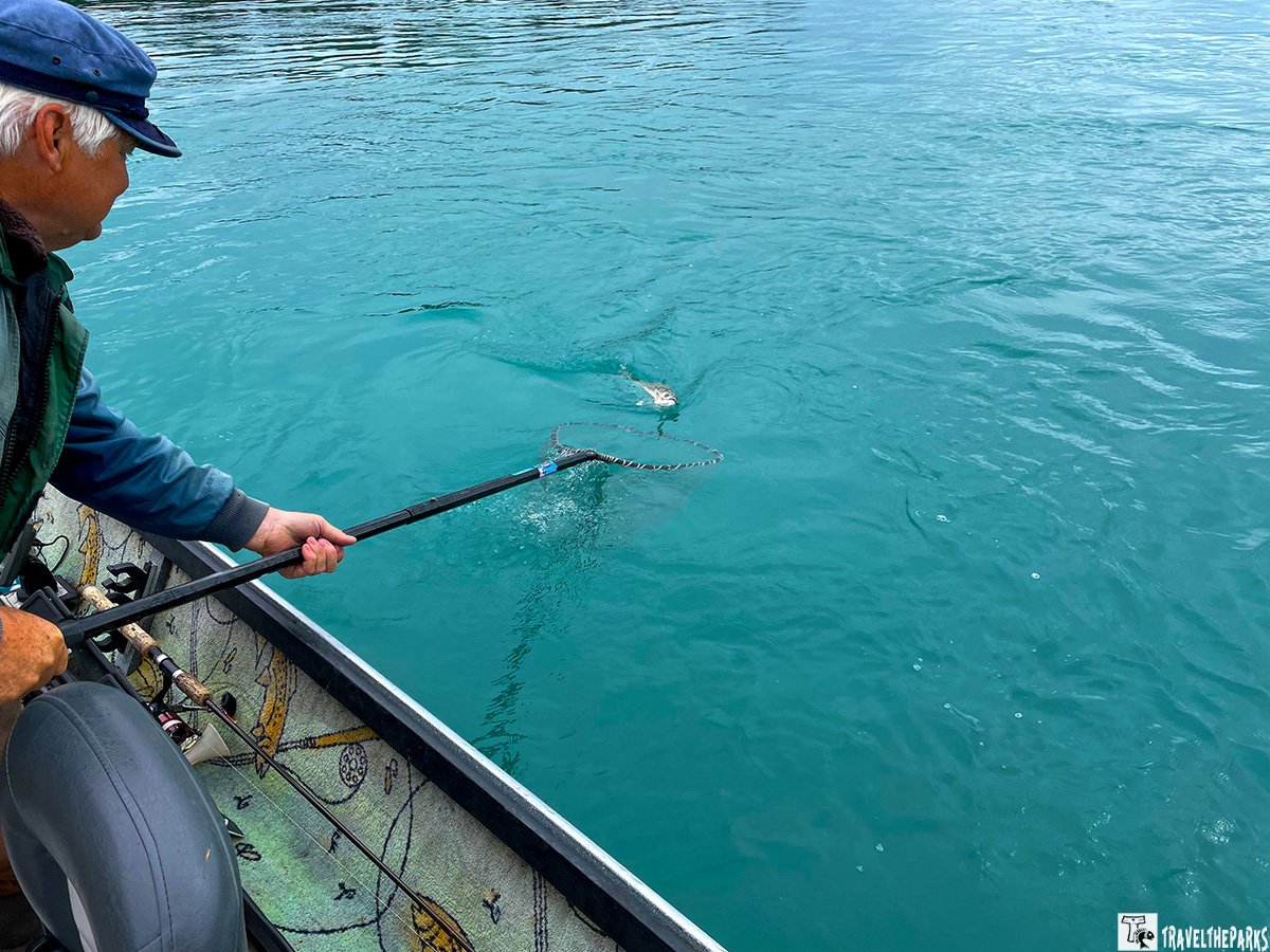 A person fishing from a boat, using a fishing pole to catch a fish in calm, blue water.