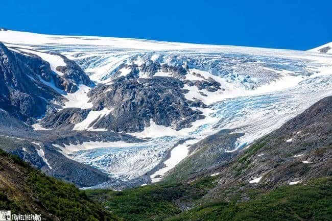 A panoramic view of Gulkana Glacier in the Alaska Range, featuring icy blue and white glacial ice above rocky mountains and lush greenery at the base.