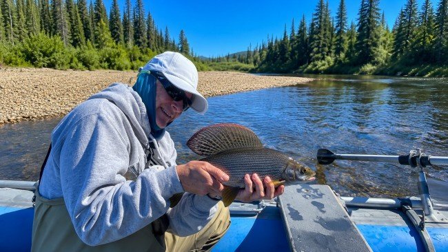 Arctic Grayling-Chena River: A person holding a fish and smiling, with a scenic background of trees and blue sky.