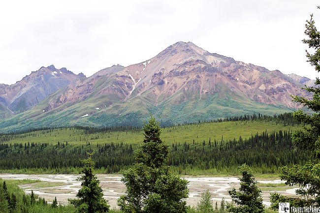 Denali Road Mountain Views