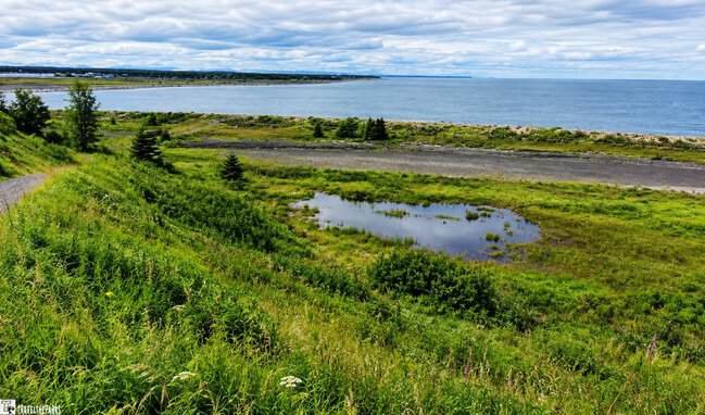 Panoramic view of lush green marshland, a small pond, and a calm blue coastal waterway beneath a cloudy sky in Old Town Kenai.
