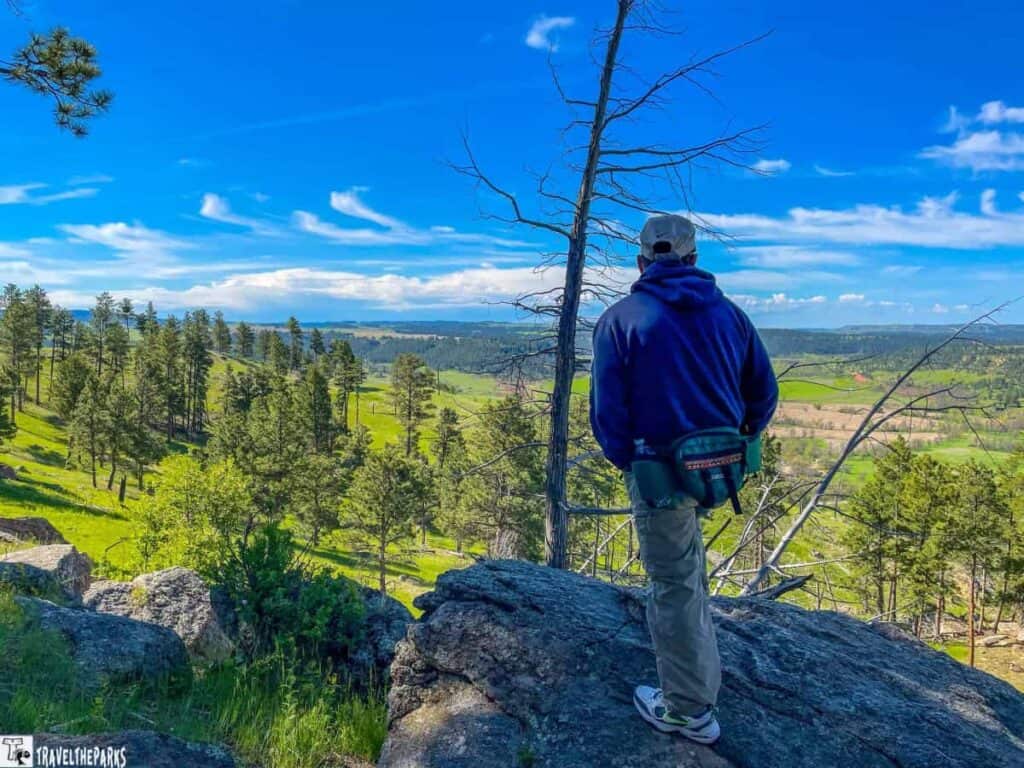 Person standing on a rocky outcrop overlooking a valley with green fields and scattered pine trees under a blue sky.
