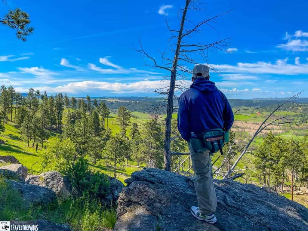 Person standing on a rocky outcrop overlooking a valley with green fields and scattered pine trees under a blue sky.