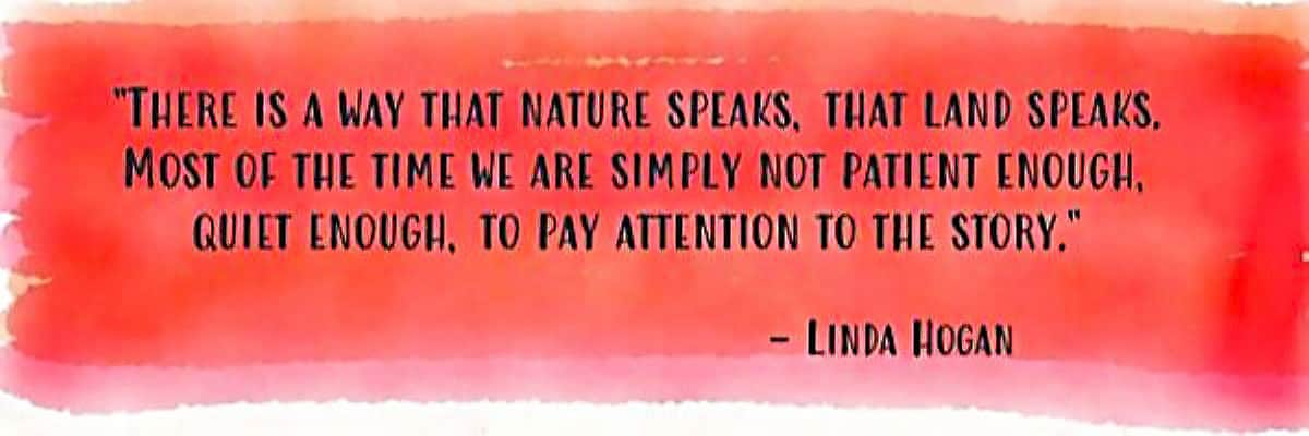 “There is a way that nature speaks, that land speaks. Most of the time we are simply not patient enough, quiet enough, to pay attention to the story.”― Linda Hogan