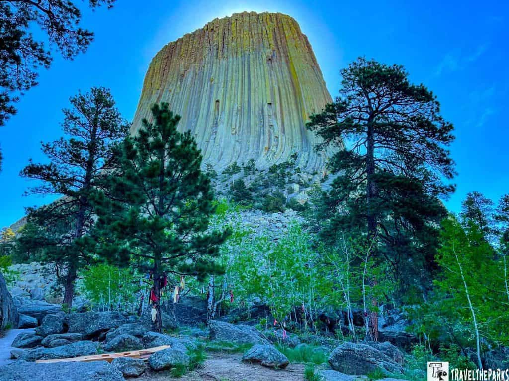 Devil's Tower with sunlight through pine trees against a clear blue sky.