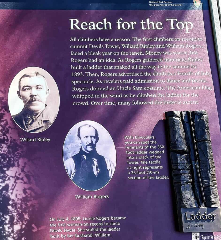 an informational display board from the National Park Service. It features a purple background with white and black text. In the top left corner is an oval black-and-white photograph of Willard Ripley. Below it, the name "Willard Ripley" is printed. Adjacent to this is another oval black-and-white photograph of William Rogers with his name printed underneath. To the right of these photos is an image of a tactile representation of a ladder section, labeled "Ladder." The ladder model appears to depict a rugged, narrow climbing ladder. The upper part of the image is occupied by the title "Reach for the Top" in large, bold white letters. Text beneath describes the history of the ladder ascent of Devils Tower by Ripley and Rogers. Additional text at the bottom notes that on July 4, 1895, Linnie Rogers became the first woman to scale the ladder.
