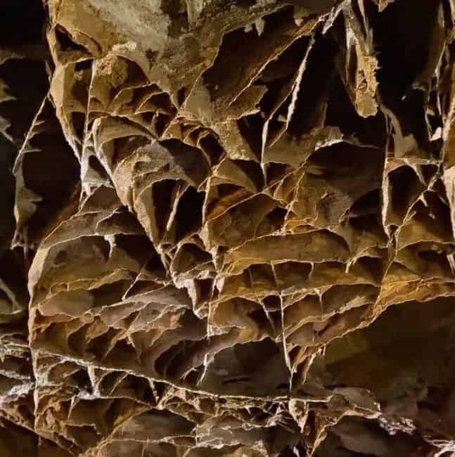 Wind Cave National Park-Cave ceiling with boxwork in shades of beige and brown.