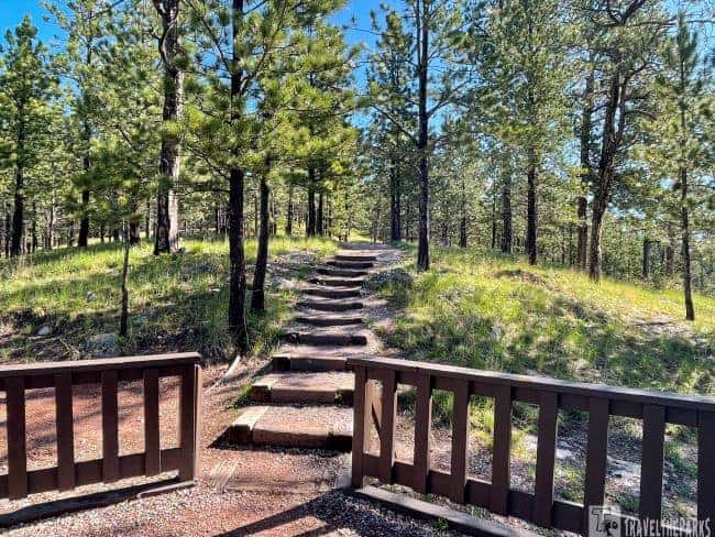 A forest path with stone steps leading uphill, surrounded by pine trees and a wooden fence in the foreground.

