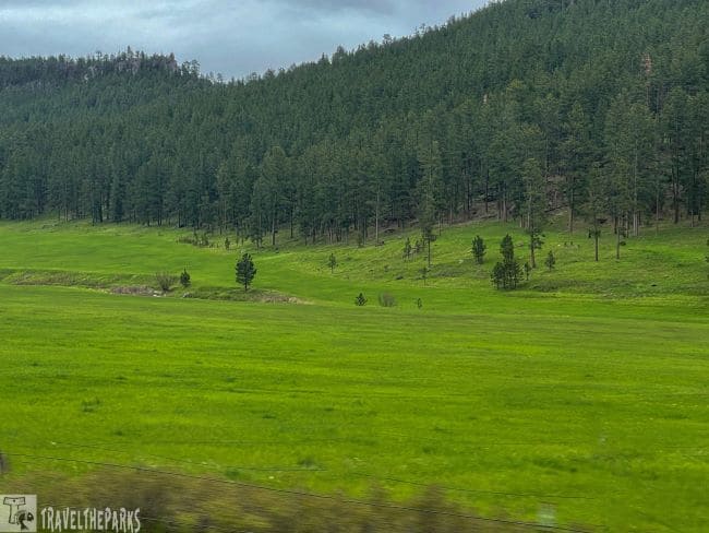 Lush green meadow with distant forested hills under a clear blue sky.