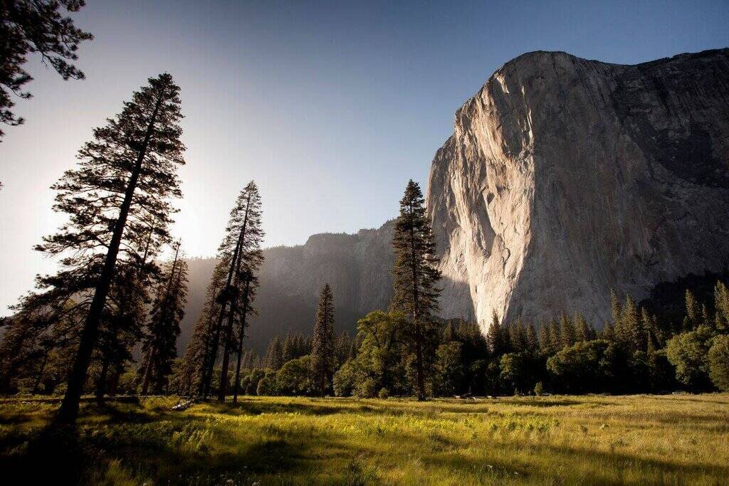 Scenic view of Yosemite National Park with El Capitan, a river, meadow, and coniferous trees under a blue sky.