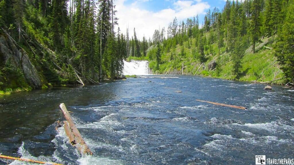Flowing river and Lewis waterfall amidst evergreen trees in Yellowstone National Park.