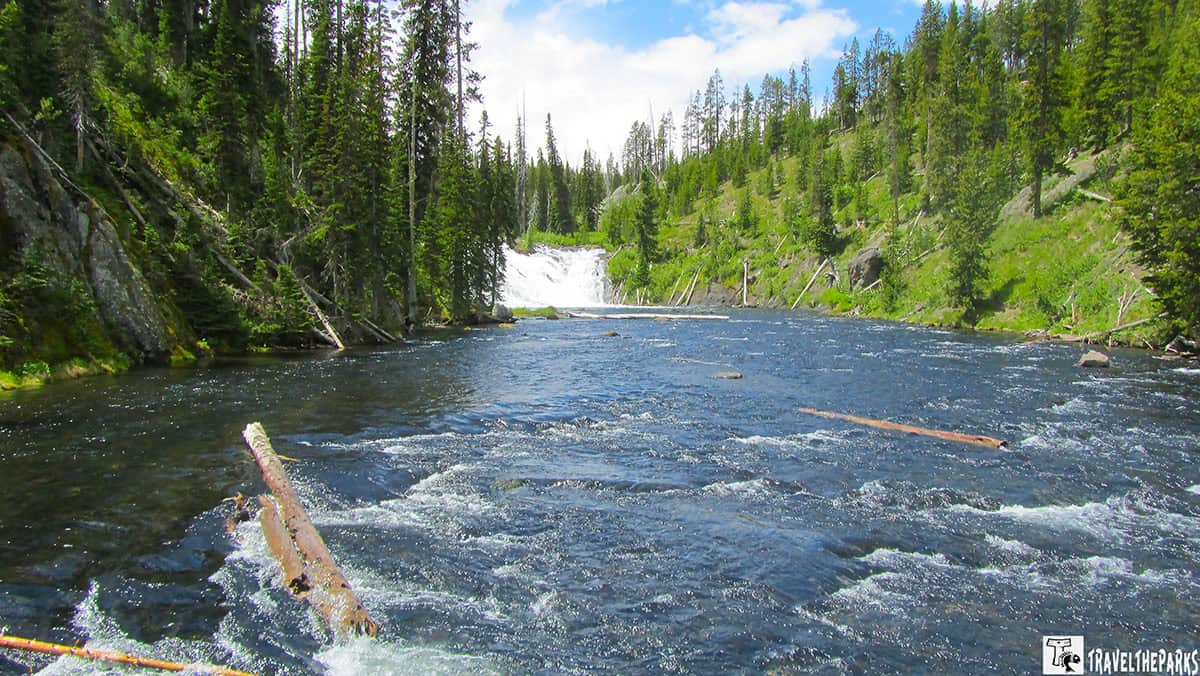 Lewis Falls with surrounding forest and flowing river in Yellowstone National Park.