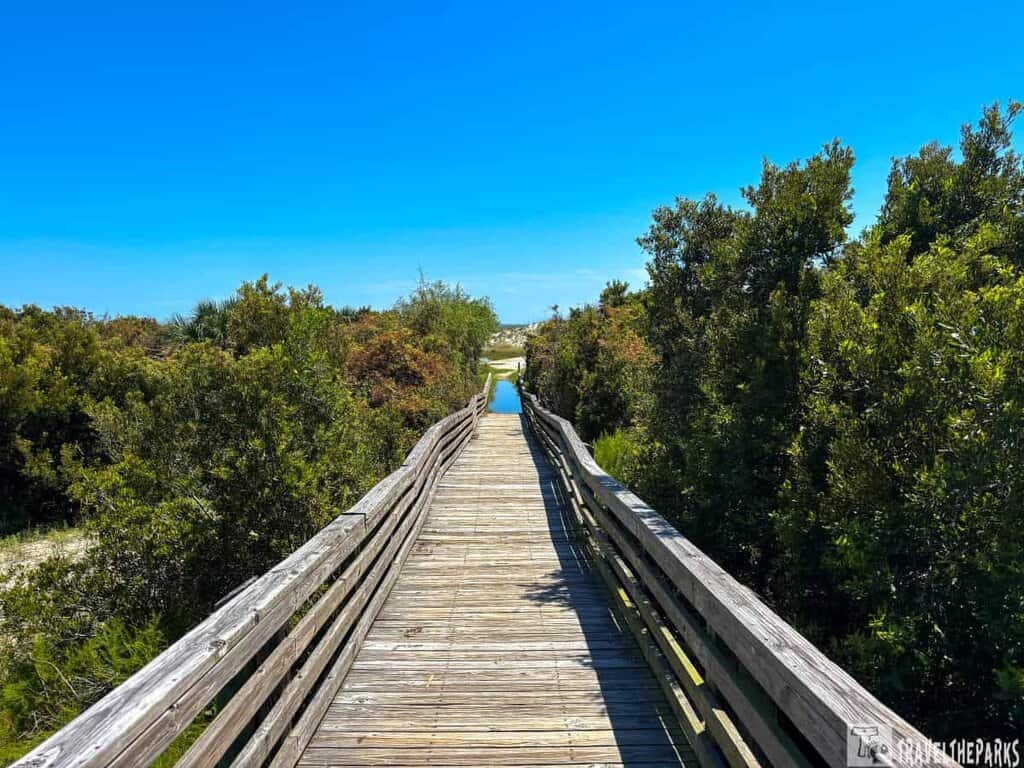 A wooden boardwalk surrounded by green foliage under a clear blue sky.

