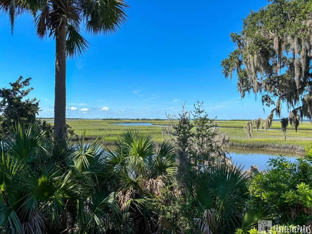 Salt Marshes Cumberland Island: A serene landscape features a calm river framed by hanging moss-covered trees. Beyond the river lies a golden marsh under an overcast sky, evoking tranquility.