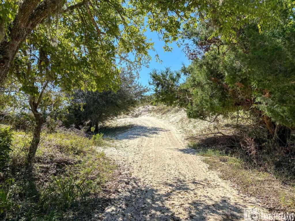 Sandy path in a wooded area with green foliage and a clear blue sky on Cumberland Island.
