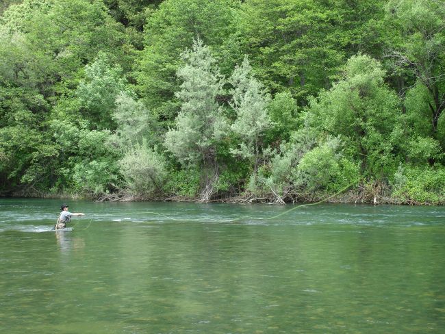 A fisherman casting a line into a clear, turquoise river surrounded by lush green trees and shrubs.