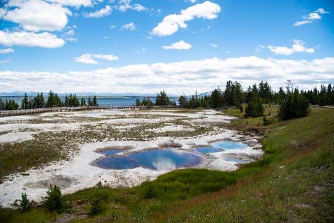 West Thumb Geysers with colorful hot springs, a boardwalk, forest, lake, and distant mountains under a blue sky.

