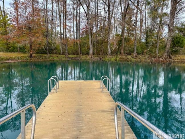 Wooden dock with metal railings extending into a calm, forest-surrounded pond.