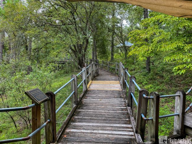 Wooden boardwalk in a forest with lush green trees and an informational plaque.